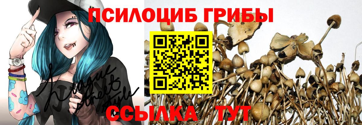 Псилоцибиновые грибы MAGIC MUSHROOMS  где продают   Брянск  Вход с VPN 