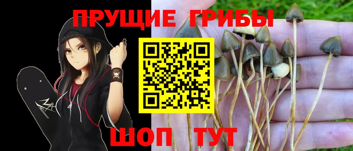 Галлюциногенные грибы мицелий Брянск